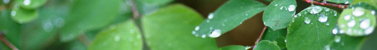 Banner1