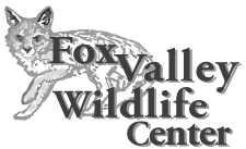 foxvalley_logo