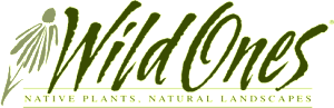 wild ones logo