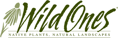 wild ones logo