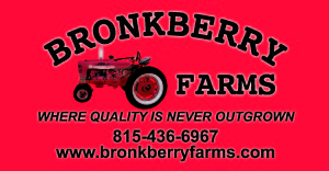 BRONKBERRY LOGO