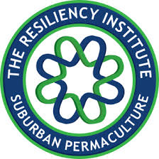 The Resiliency Institute